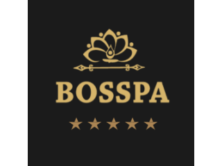 BOSSPA